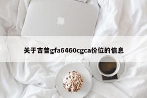 关于吉普gfa6460cgca价位的信息