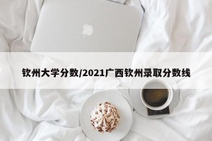 钦州大学分数/2021广西钦州录取分数线