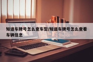 知道车牌号怎么查车型/知道车牌号怎么查看车辆信息