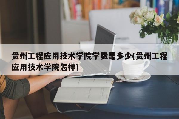 贵州工程应用技术学院学费是多少(贵州工程应用技术学院怎样)