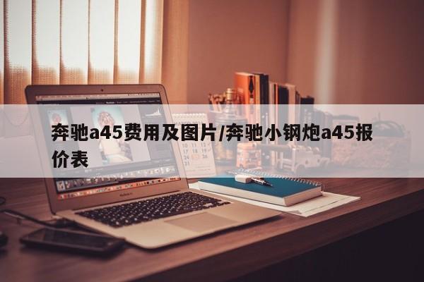 奔驰a45费用及图片/奔驰小钢炮a45报价表